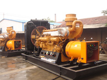 武侯发电机组的频率规格是如何确定的？